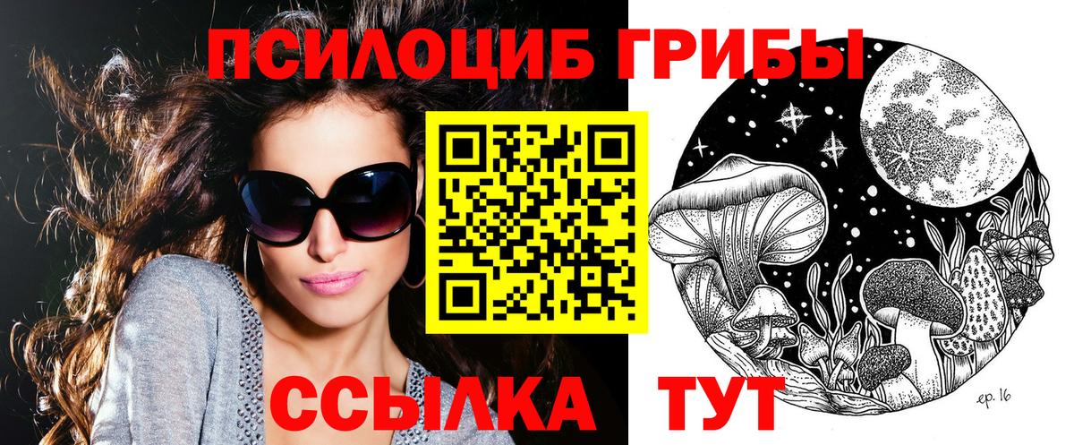 Псилоцибиновые грибы мицелий Ливны