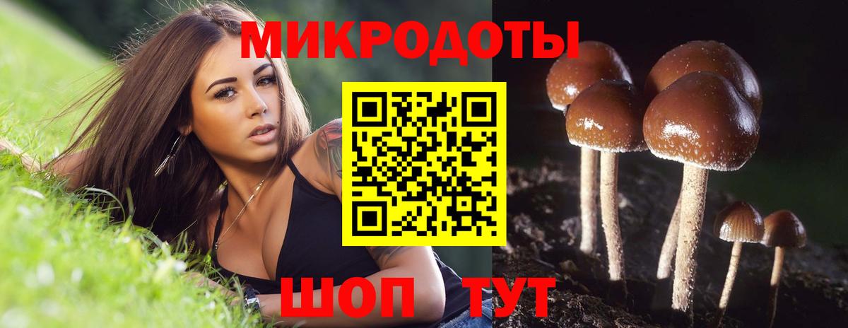 Ливны  Псилоцибиновые грибы Psilocybe  Вход с VPN  Псилоцибиновые грибы ЛСД 